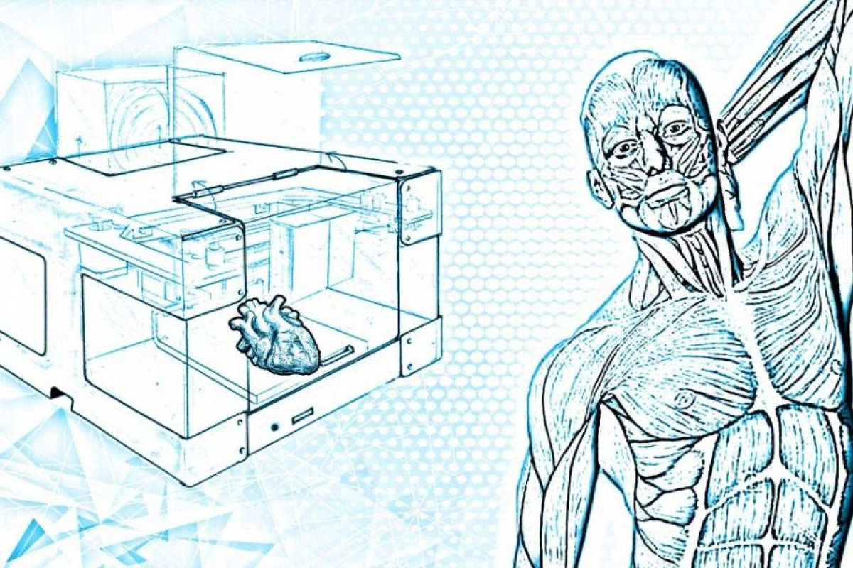 Orqanizmdə "3D" material çap edən cizah hazırlandı