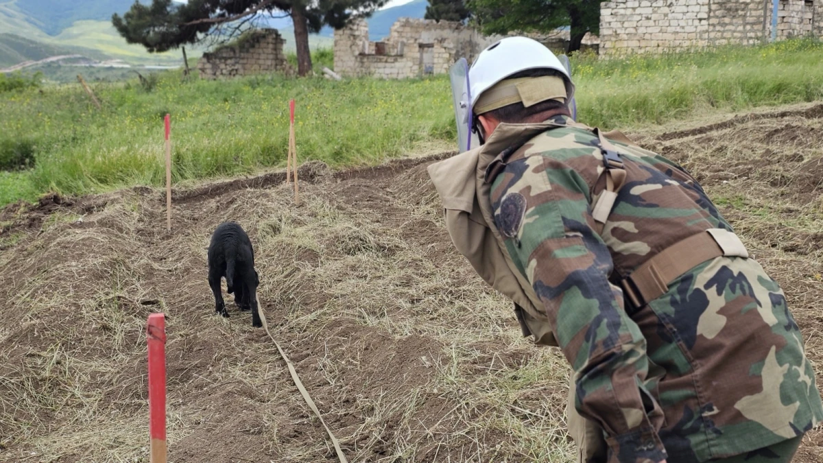 Media nümayəndələri humanitar minatəmizləmə fəaliyyətinin gedişatı ilə tanış oldu — 1