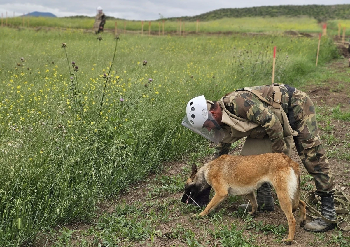 Media nümayəndələri humanitar minatəmizləmə fəaliyyətinin gedişatı ilə tanış oldu — 2