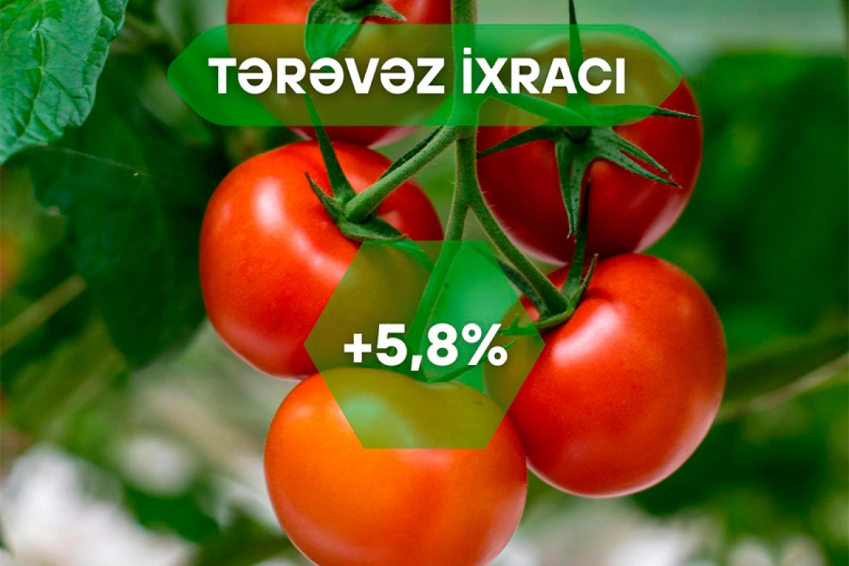 Xarici bazarlara tərəvəz ixracında 5,8% artım qeydə alındı