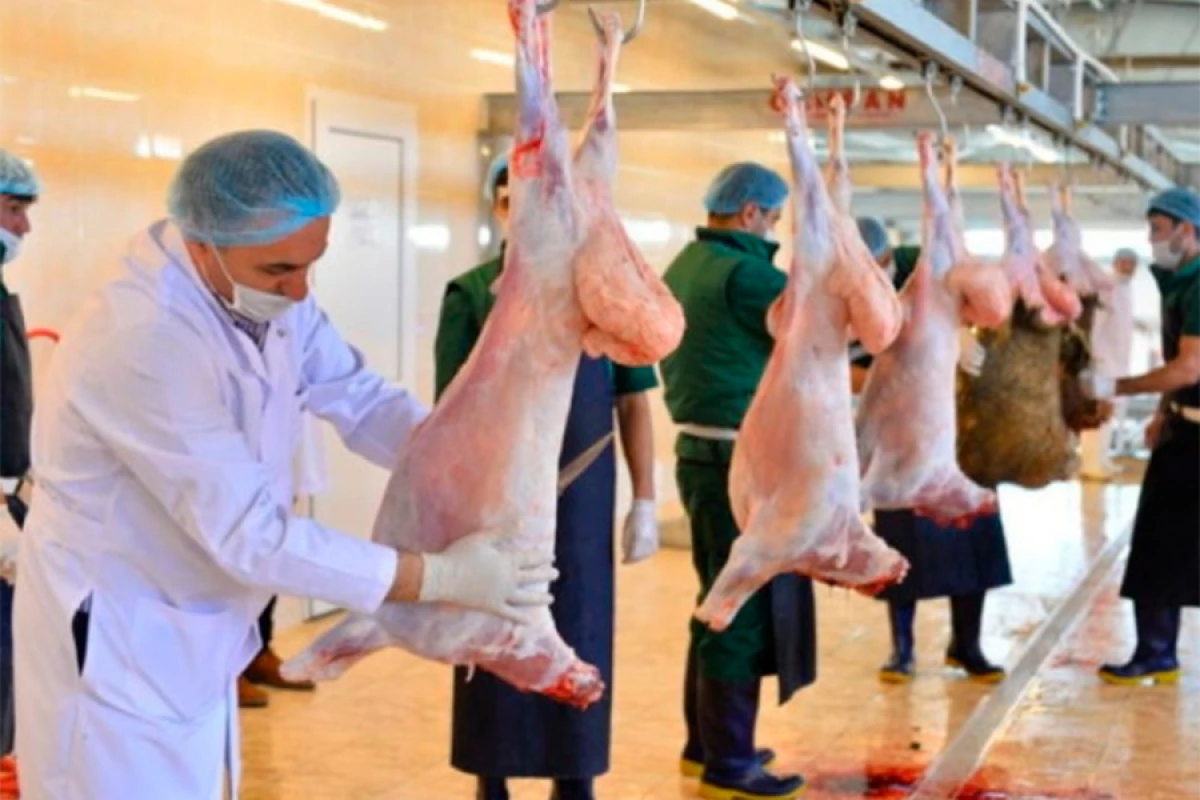 Qurbanlıq heyvanın kəsimi zamanı hansı tələblərə əməl edilməlidir?