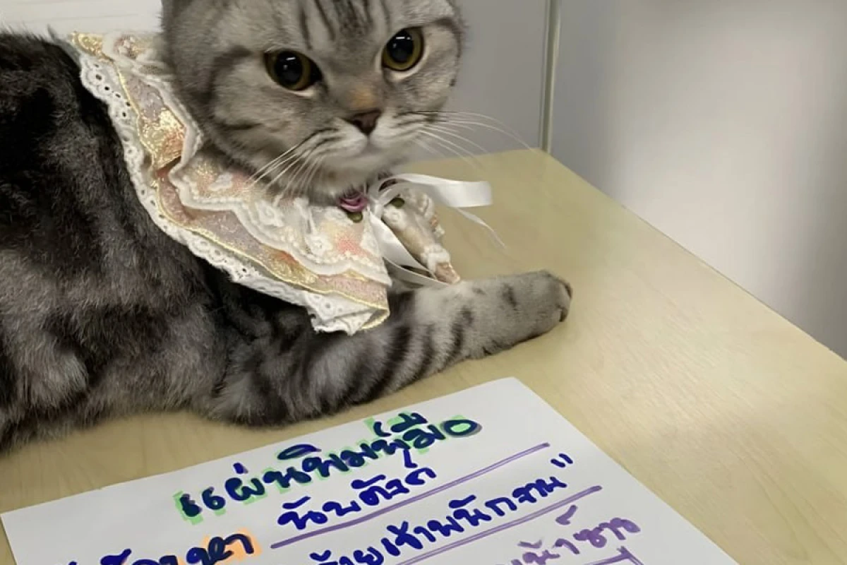 Polisə hücum edən pişik həbs edildi
