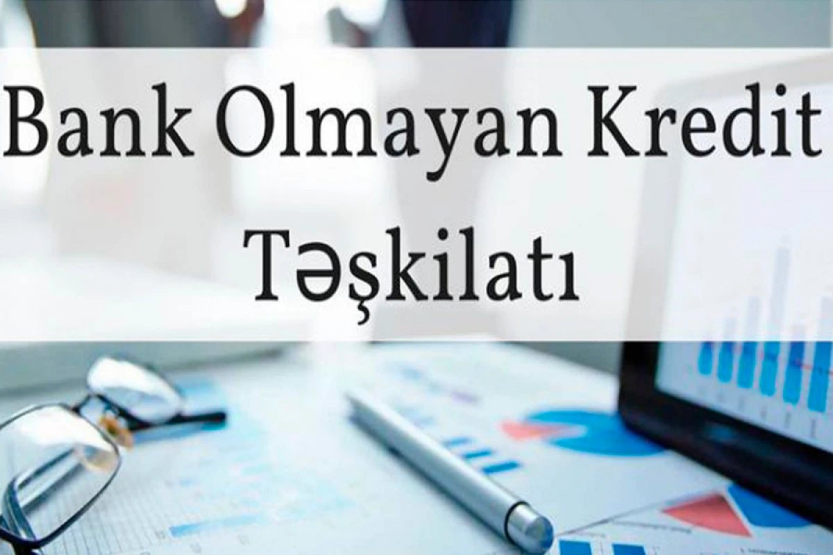 Yerli BOKT-lara kredit qoyuluşu 12 dəfəyə yaxın azaldı