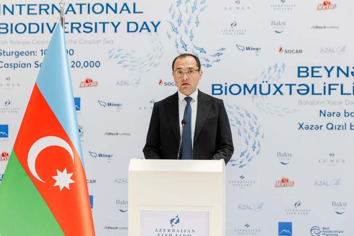 Xəzər dənizinə 100 000 nərə və 20 000 Xəzər qızılbalığı buraxıldı — 7