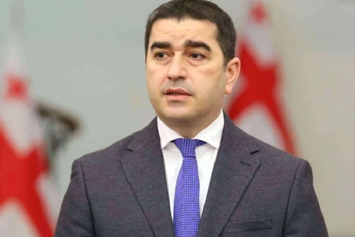 Gürcüstan: “Aİ və İsveç ekstremizm bazasını maliyyələşdirir”