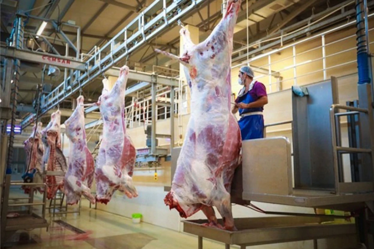 Qurbanlıq heyvanların satışı və kəsimi xidmətləri göstəriləcək ünvanlar açıqlandı