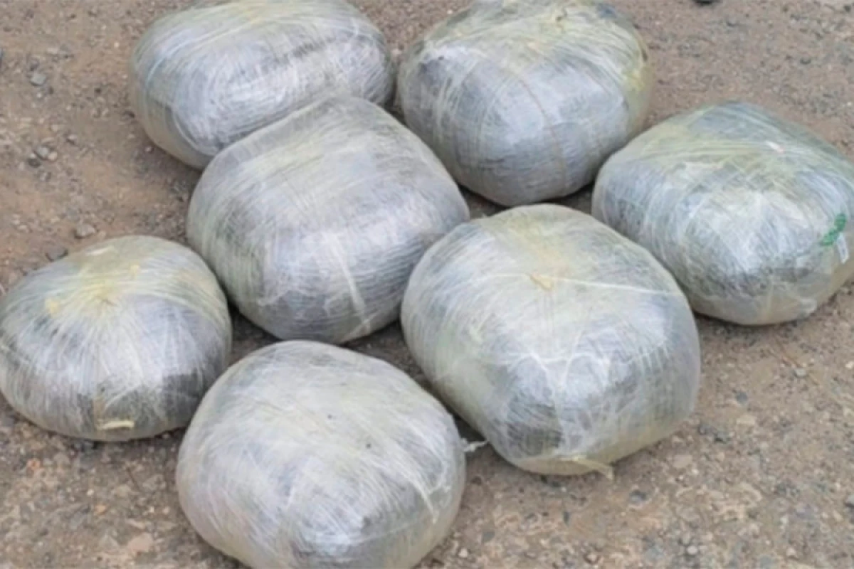 Lənkəranda 10 kiloqram narkotik vasitə aşkarlandı