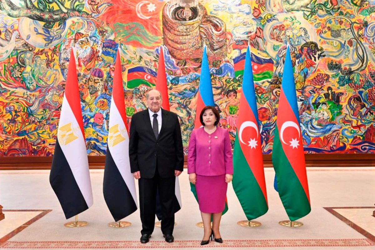 Sahibə Qafarova Misir Senatının sədri ilə görüşdü