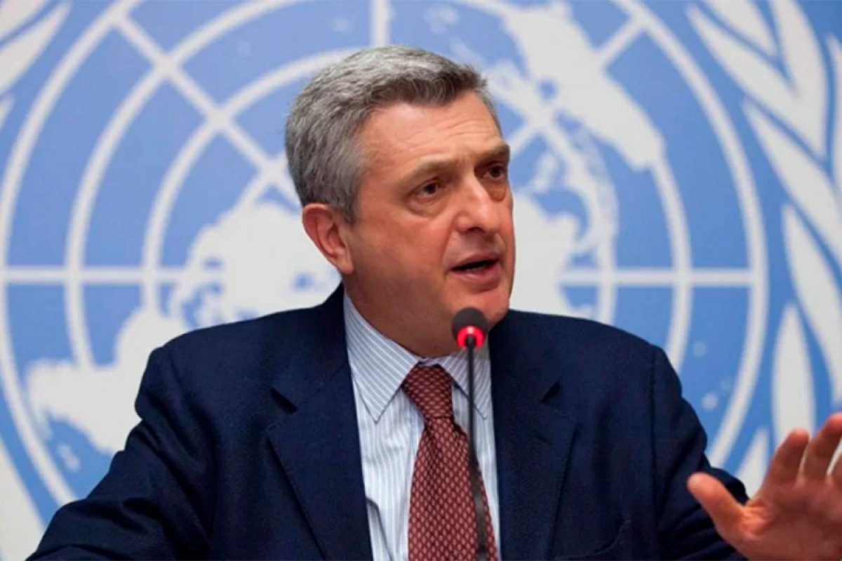 Ombudsman Filippo Qrandiyə məktub ünvanladı
