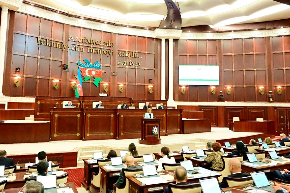 Bahar Muradova Milli Məclisdə çıxış etdi