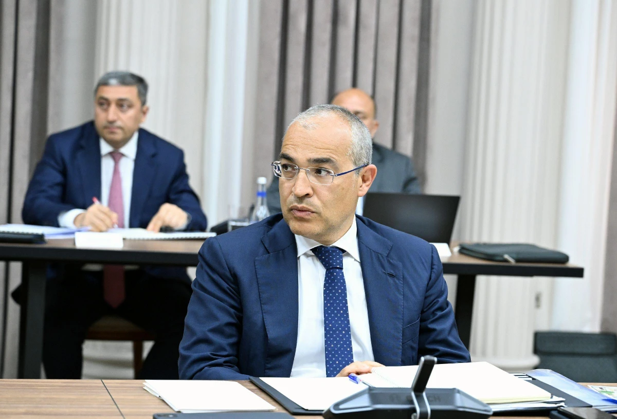 İqtisadi Şuranın növbəti iclası keçirildi — 3