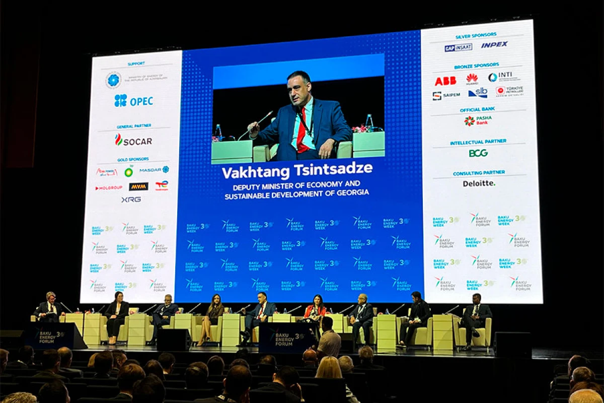Vaxtanq Tsintsadze: “Əminik ki, digər ölkələr də bu layihəyə qoşulacaq”