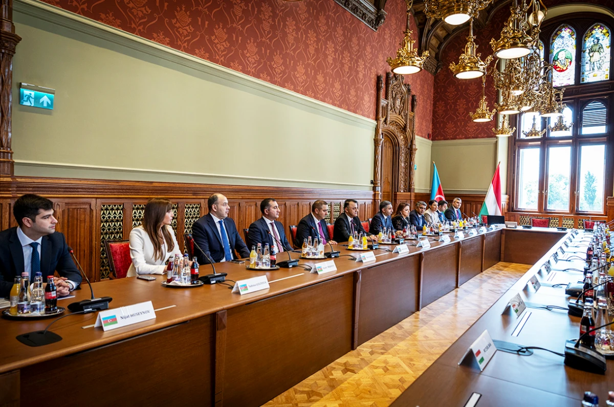 Azərbaycan və Macarıstan arasında tibbi əməkdaşlıq barədə müzakirələr aparıldı — 4