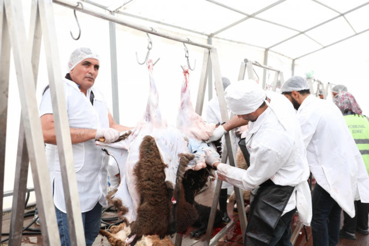 135 ünvanda qurbanlıq heyvanların satışı və kəsimi xidmətləri göstərilir — 1