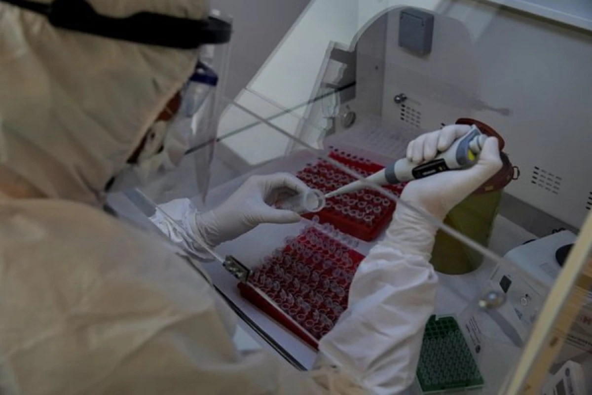 Həyəcan siqnalı: Yeni virus yayılır