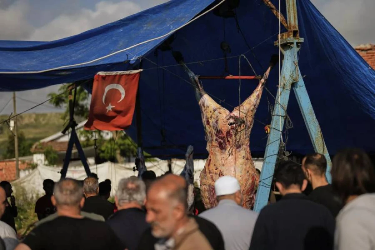 Türkiyədə Qurban bayramının ilk günü 14 mindən çox insan yaralandı