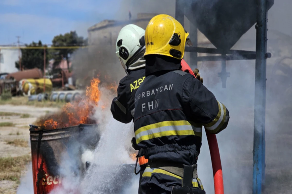 Salyanda ferma yandı - Heyvanlar tələf oldu