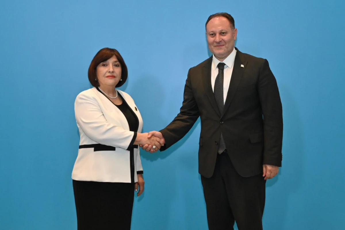 Sahibə Qafarova Şimali Kipr Türk Cümhuriyyəti Məclisinin sədri ilə görüşdü