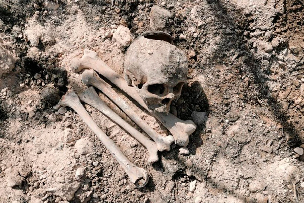 İnsan skeletinə bənzər sümük fraqmentləri aşkar edildi, araşdırma aparılır