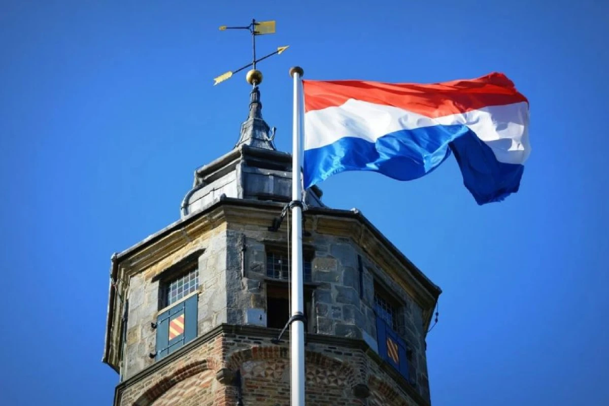 Niderland müdafiə xərclərini artırır
