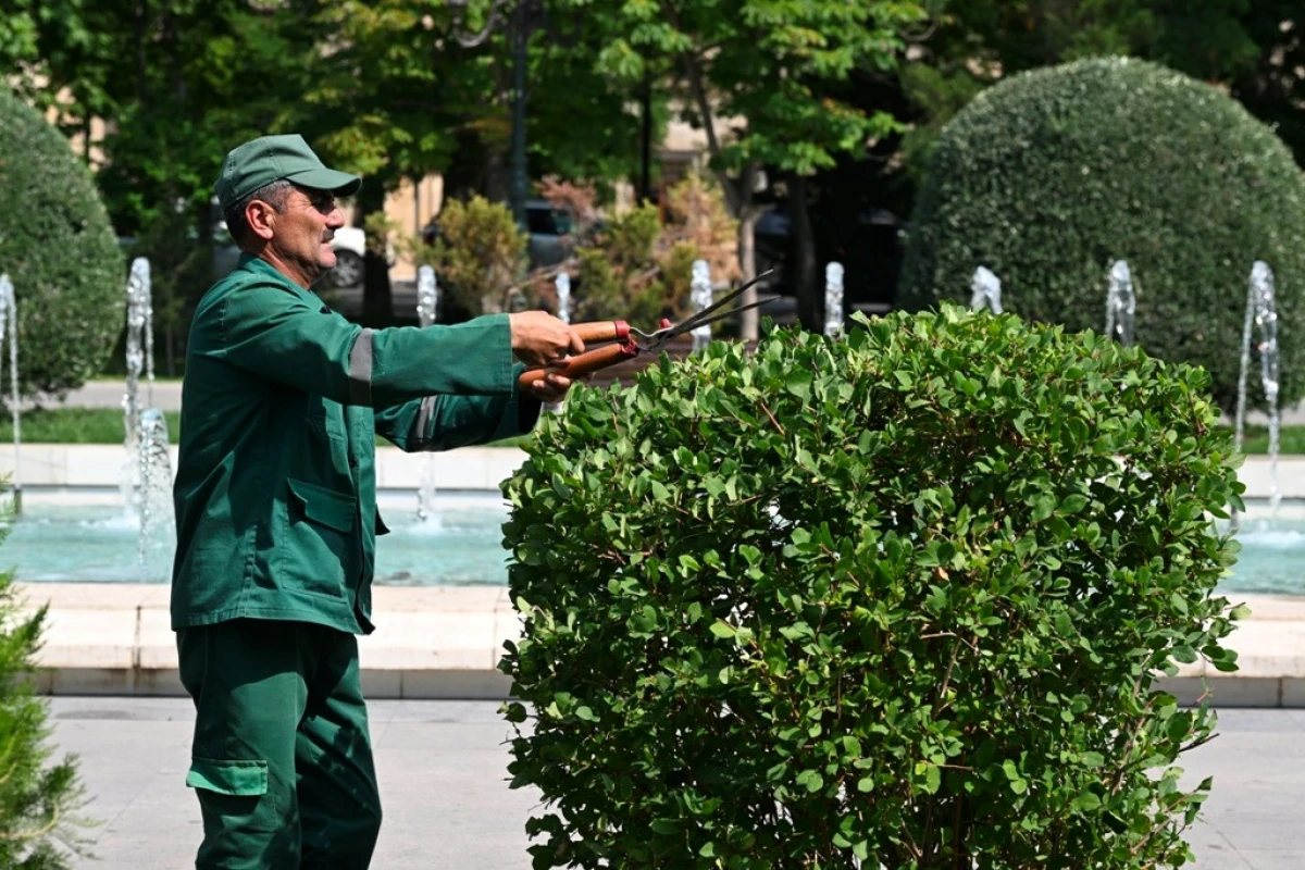 Paytaxtda növbəti geniş təmizlik işləri aparıldı — 3