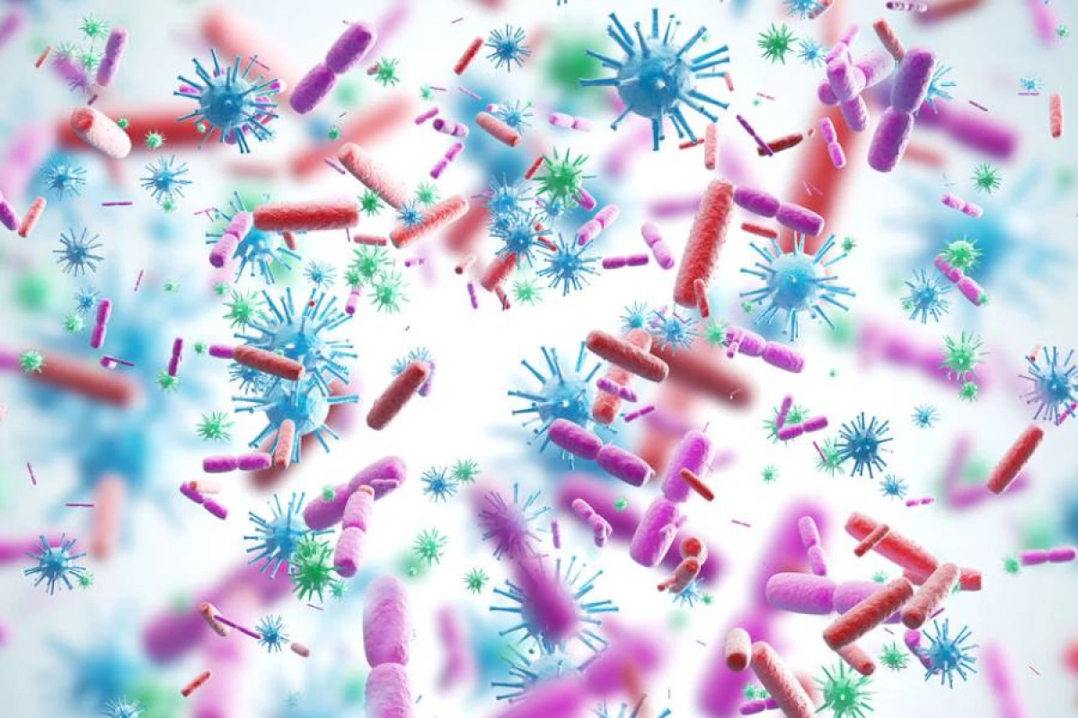 Okean sularında yüzlərlə yeni virus aşkarlandı