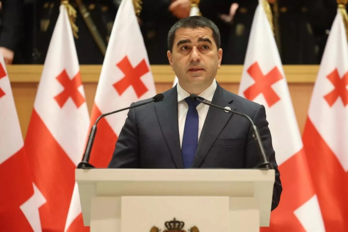Gürcüstan parlament sədri Ankaraya rəsmi səfər etdi