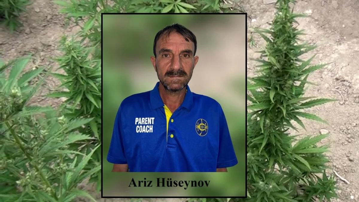 Neftçalada narkotik tərkibli bitkiləri yetişdirən şəxs saxlanıldı — 1