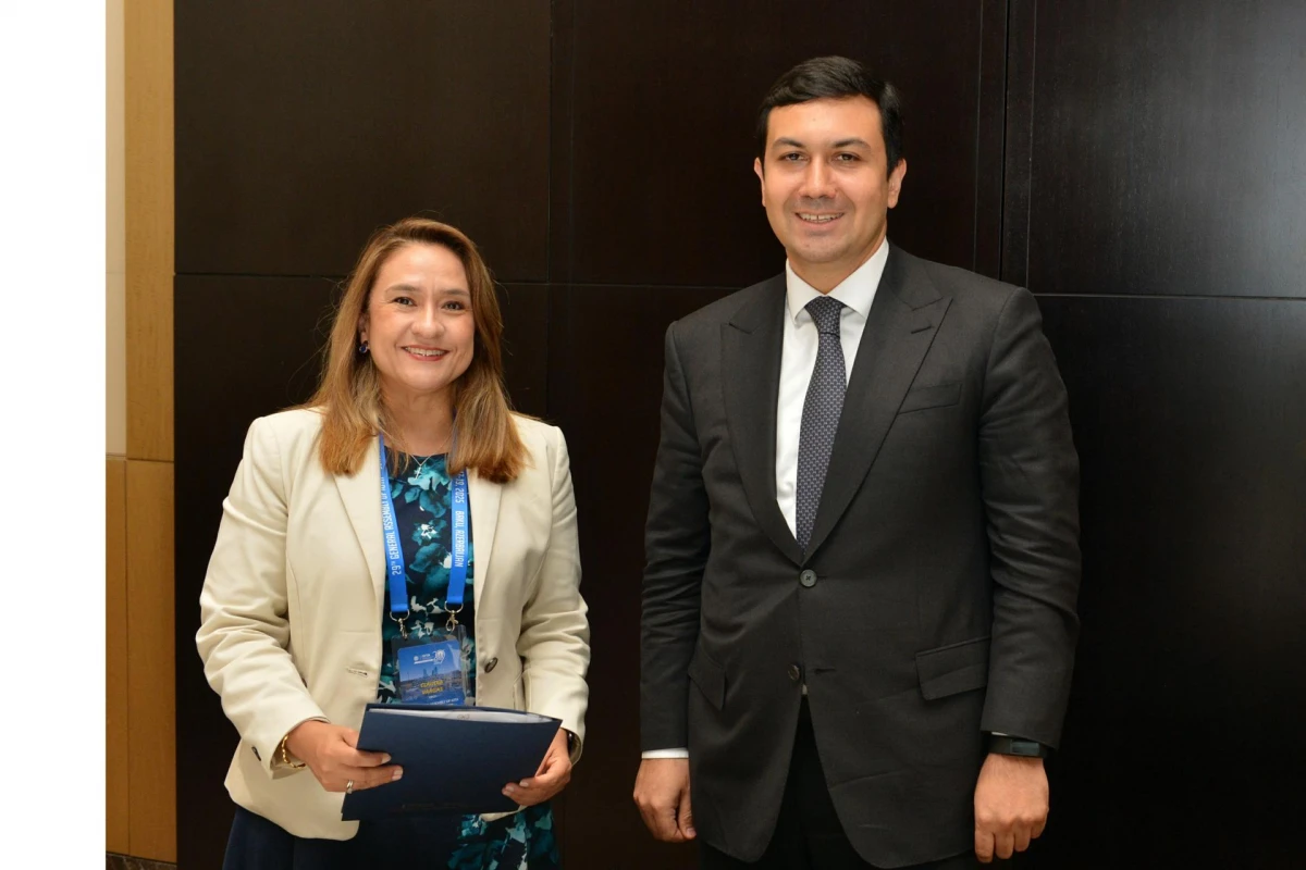 OECD-lə ƏDV inzibatçılığında rəqəmsal həllərin tətbiqi müzakirə olundu — 3