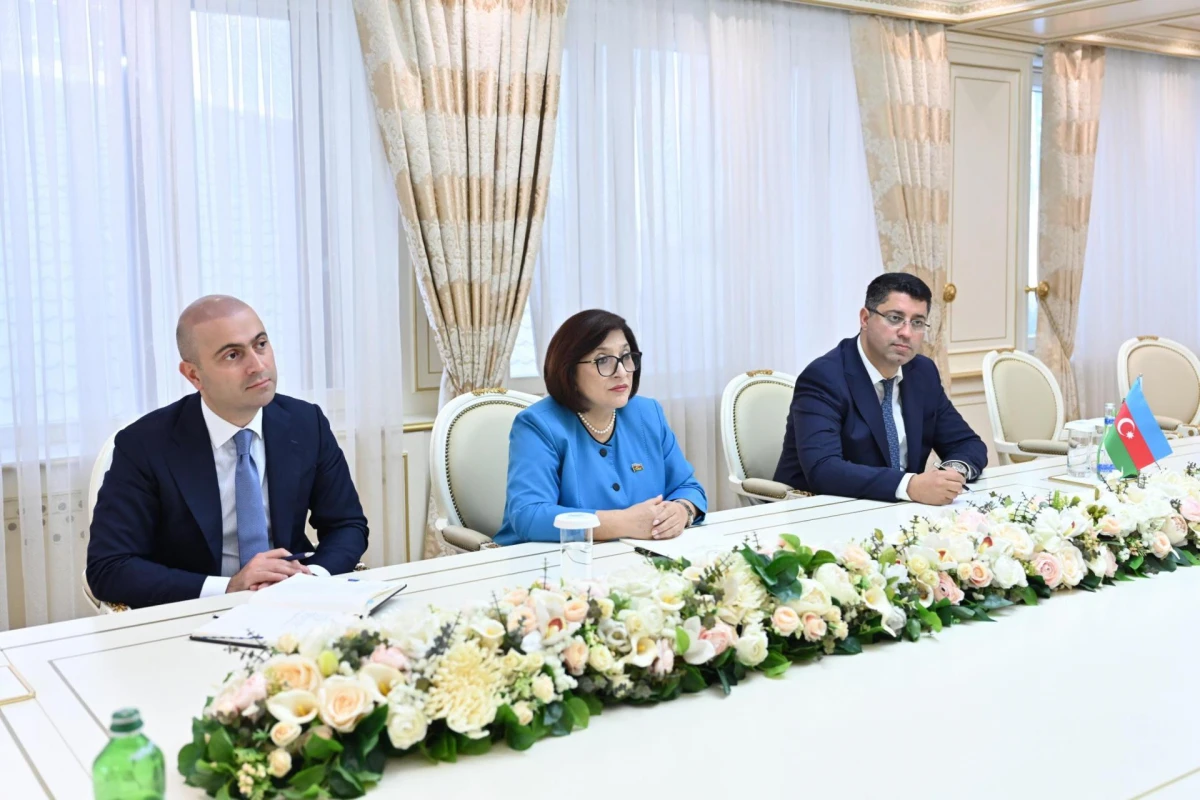Sahibə Qafarova Gürcüstan parlamentinin nümayəndə heyəti ilə görüşdü — 1