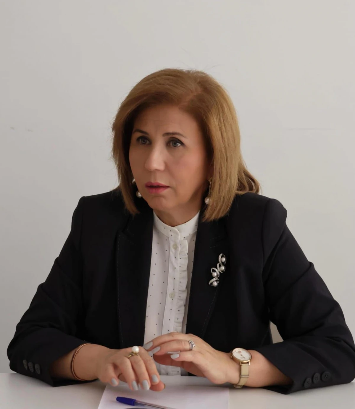 Bahar Muradova Sabirabadda vətəndaşları qəbul etdi — 8