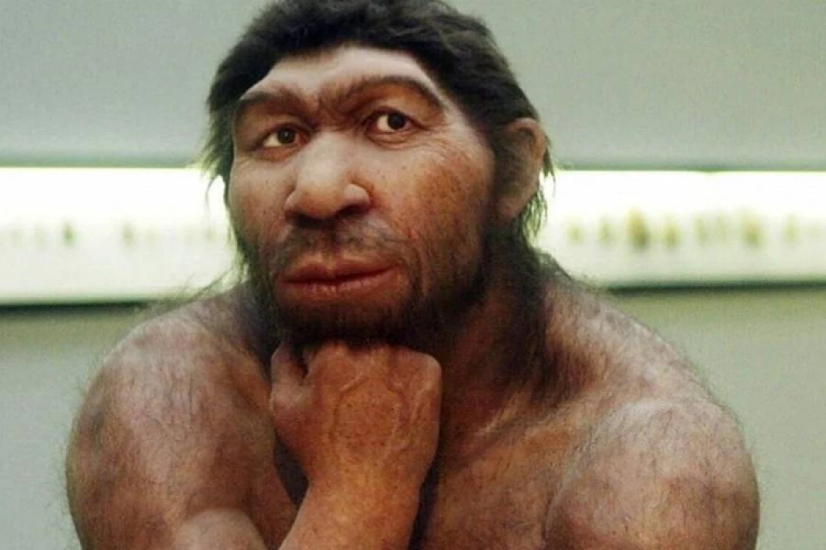 Maqnit sahəsinin zəifləməsi neandertallara necə təsir edib?