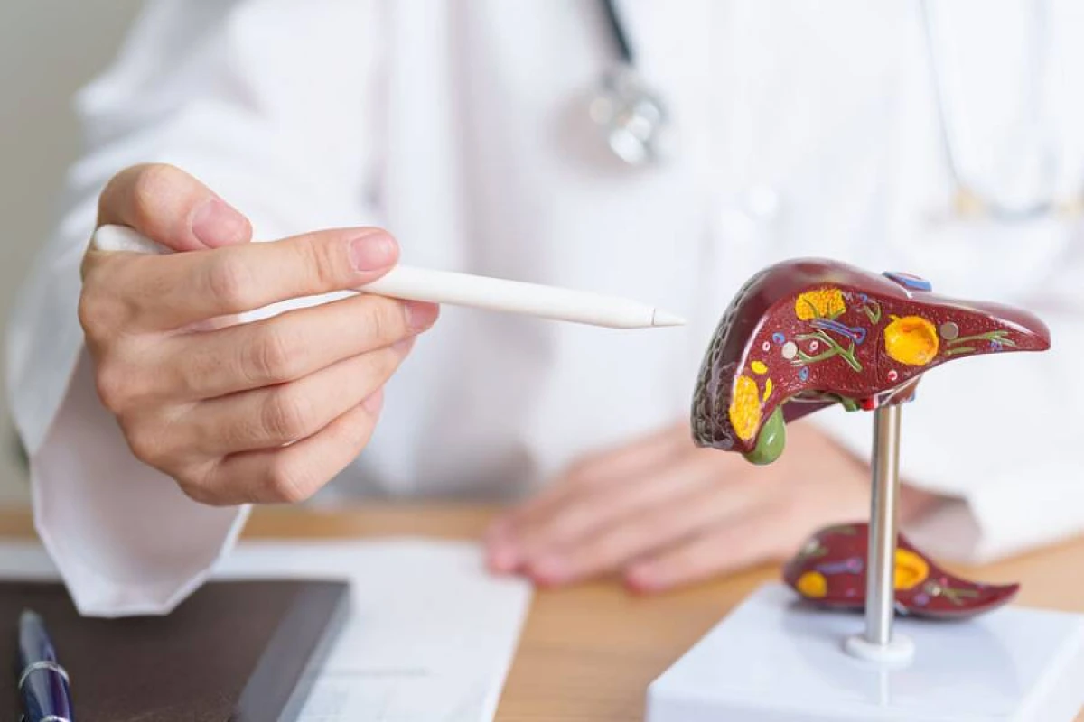 Yapon alimlər qaraciyər fibrozunun yayılma səbəbini tapdı