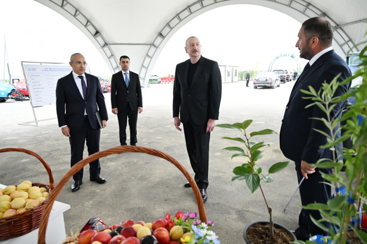 Prezident İlham Əliyev Yevlax pilot aqroparkının açılışında iştirak etdi - YENİLƏNDİ — 8
