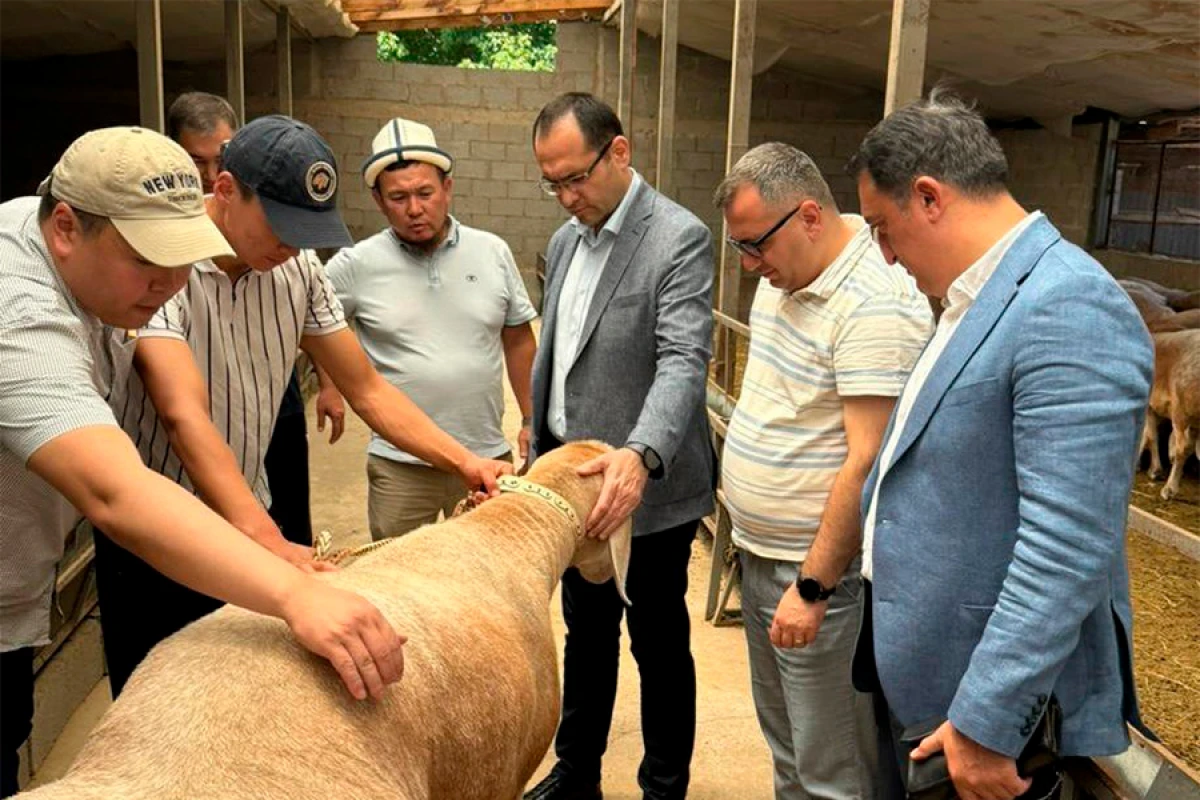 Məcnun Məmmədov Qırğız Respublikasında rəsmi səfərdədir