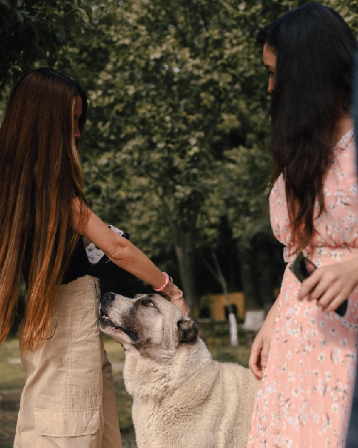 Leyla Əliyeva və Arzu Əliyeva Altıağac Milli Parkını ziyarət etdilər — 5