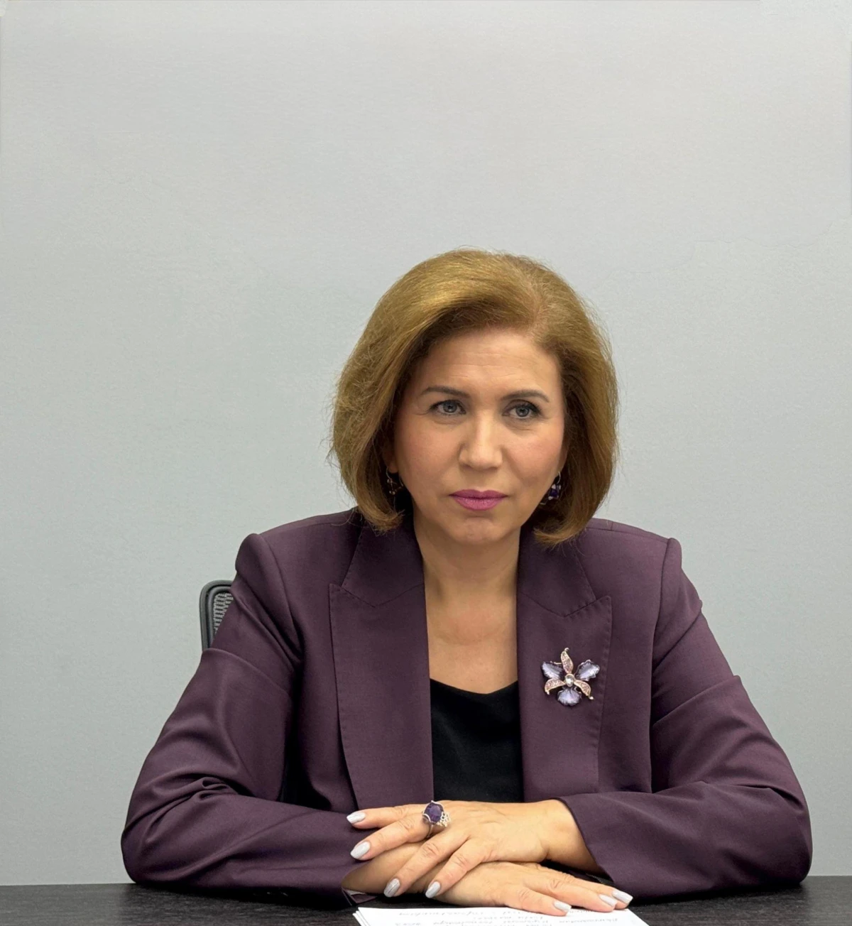 Bahar Muradova Birləşmiş Ərəb Əmirliklərinin (BƏƏ) Azərbaycandakı səfiri ilə görüşdü — 1