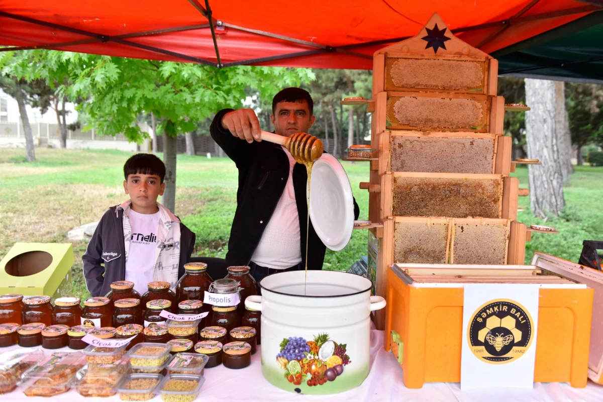 Şəmkirdə növbəti “Aqrar Biznes Festivalı” və “Tərəvəz” Festivalı keçirildi — 3