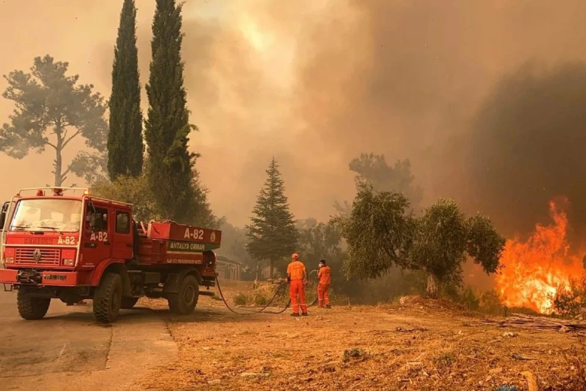 Türkiyədə bütün meşə yanğınları nəzarət altına alındı