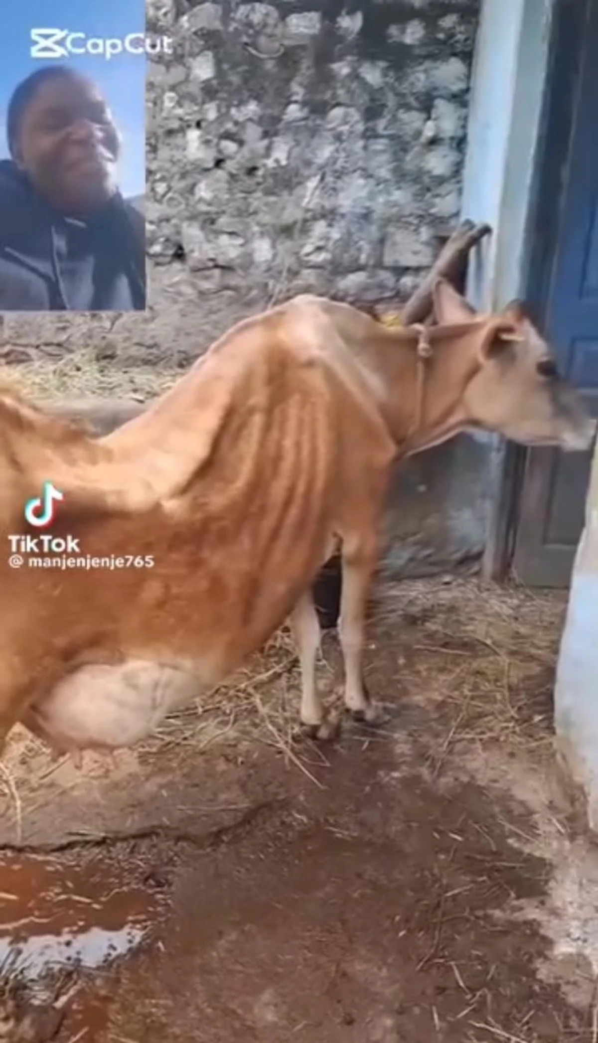 Dövlət Məşğulluq Agentliyi son zamanlar yayılan görüntülərlə bağlı açıqlama yaydı — 1