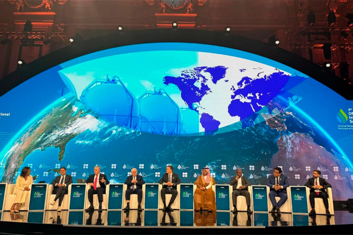 Rövşən Nəcəf OPEC beynəlxalq seminarında iştirak etdi