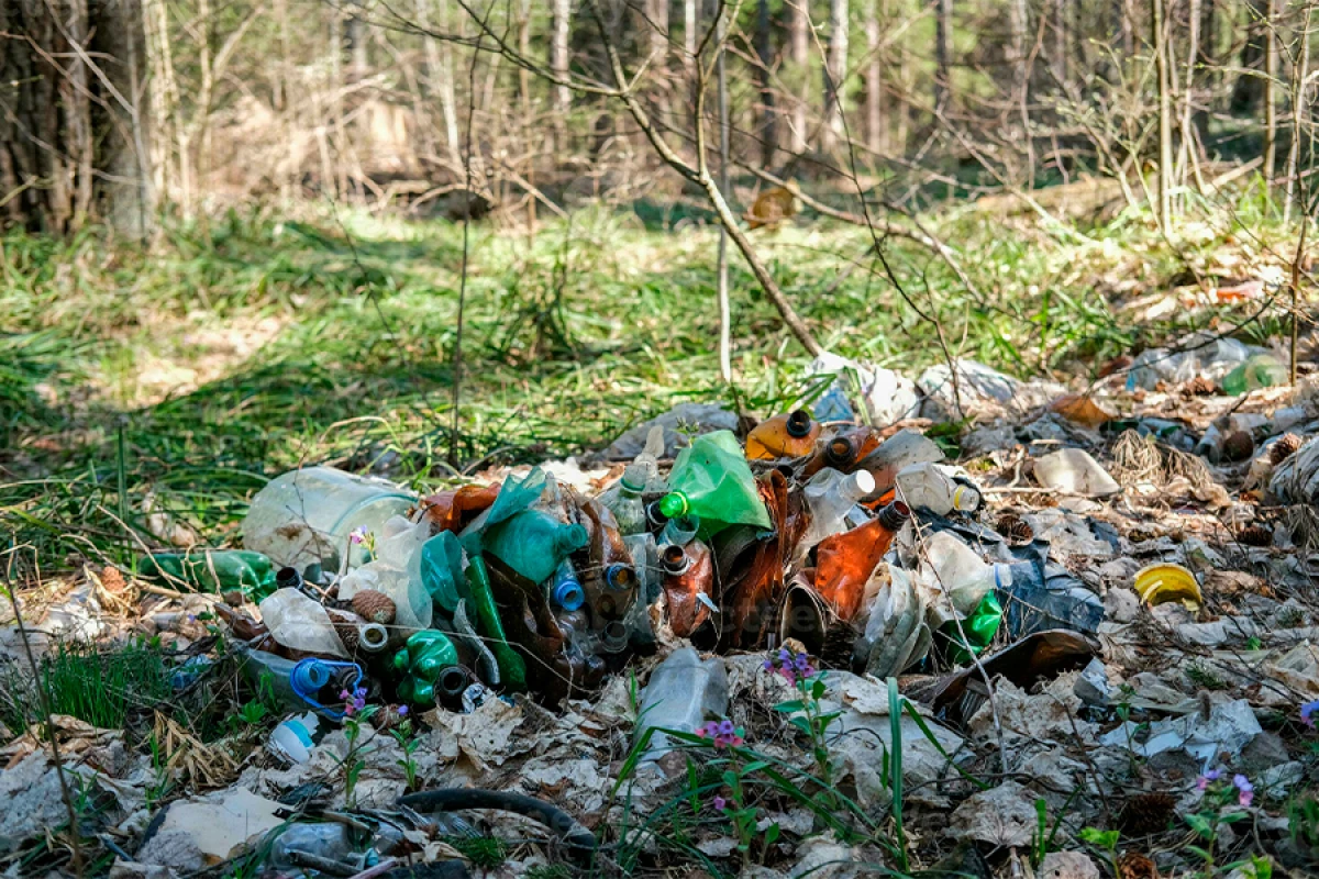 Yeni sezonun köhnə problemi: Zir-zibili təbiətə atanlar...