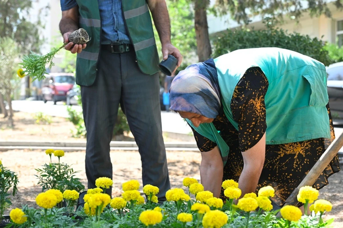 Paytaxt küçələri yenidən yuyuldu — 2