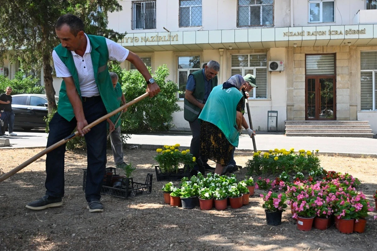 Paytaxt küçələri yenidən yuyuldu — 3