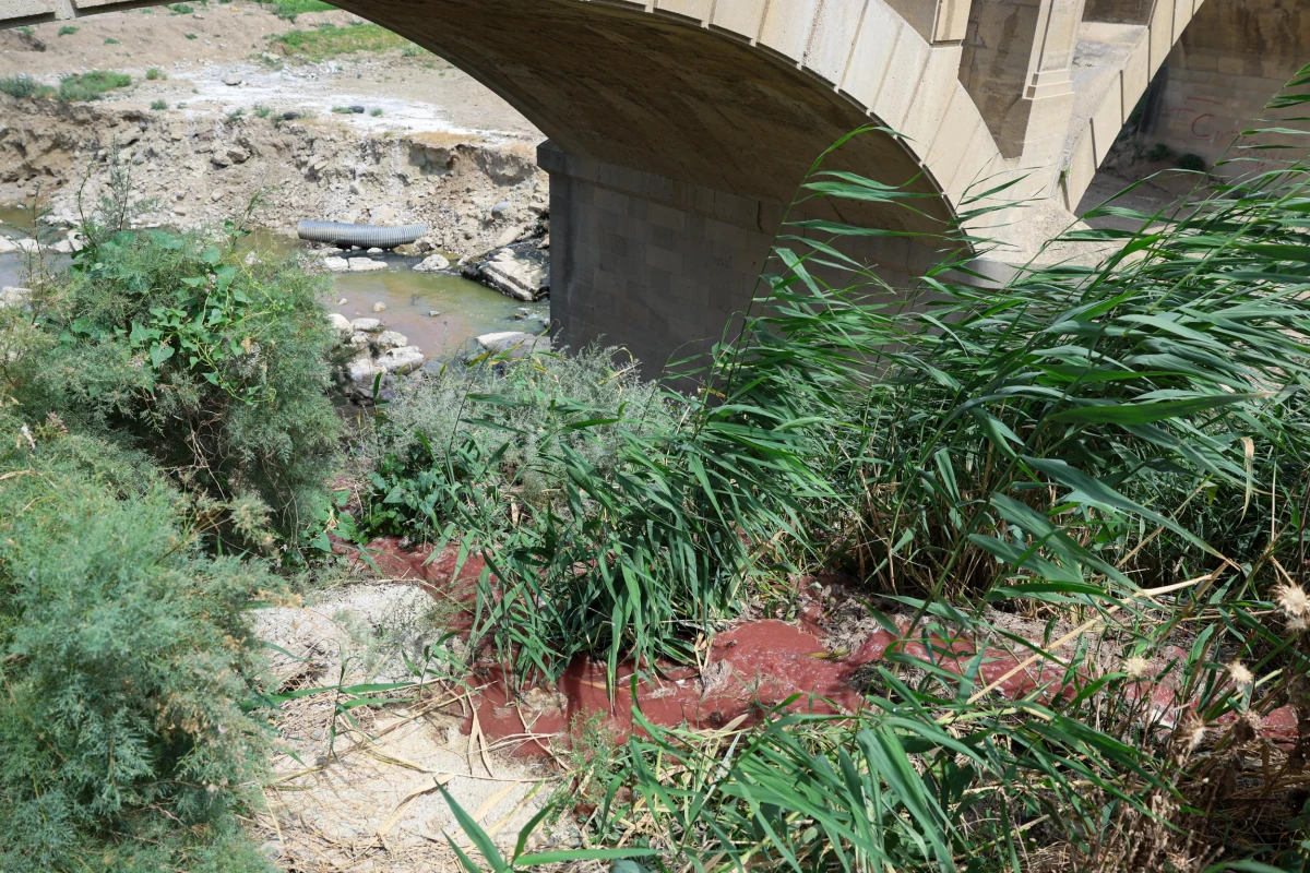 Quşçuluq fabrikinə qarşı tədbir görüldü — 2