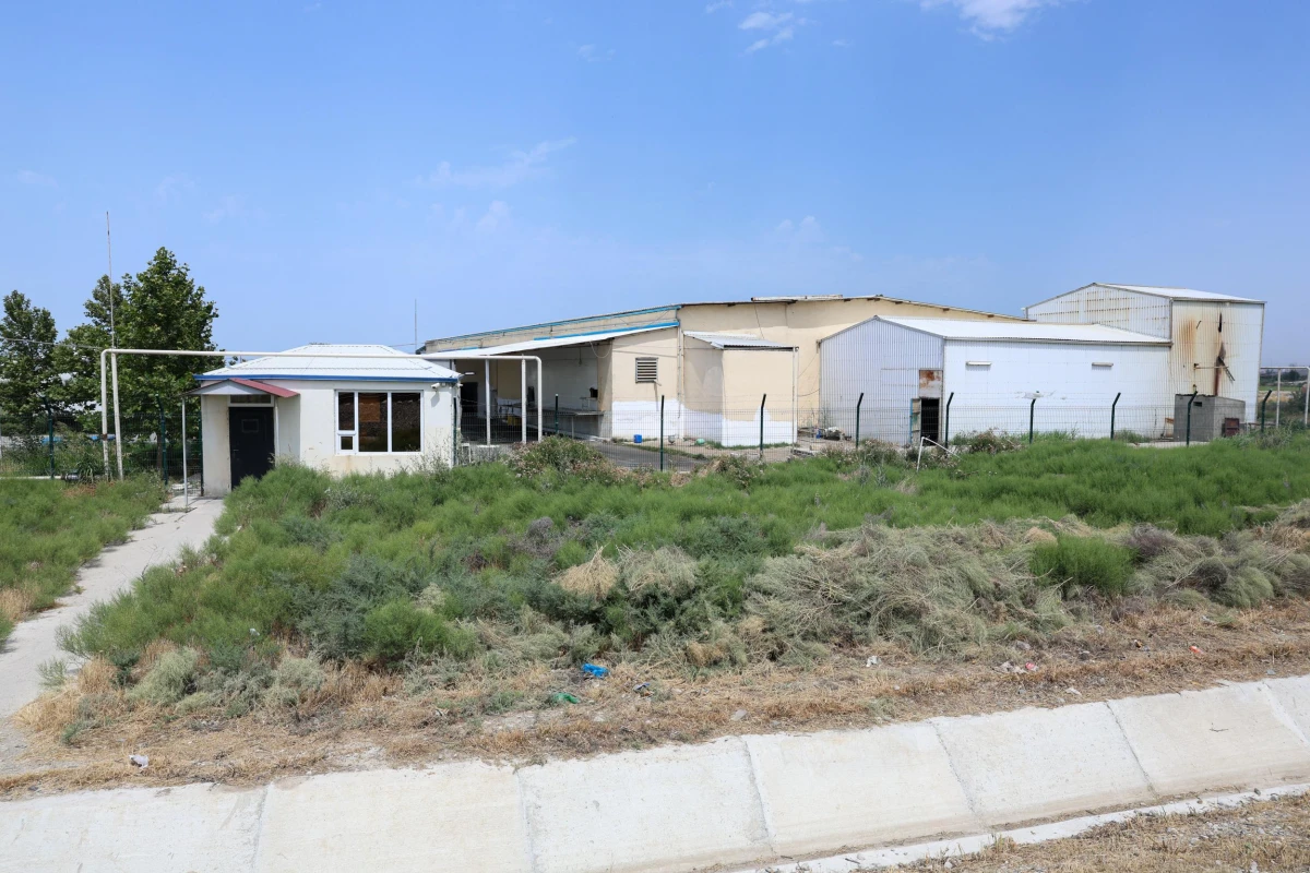 Quşçuluq fabrikinə qarşı tədbir görüldü — 4