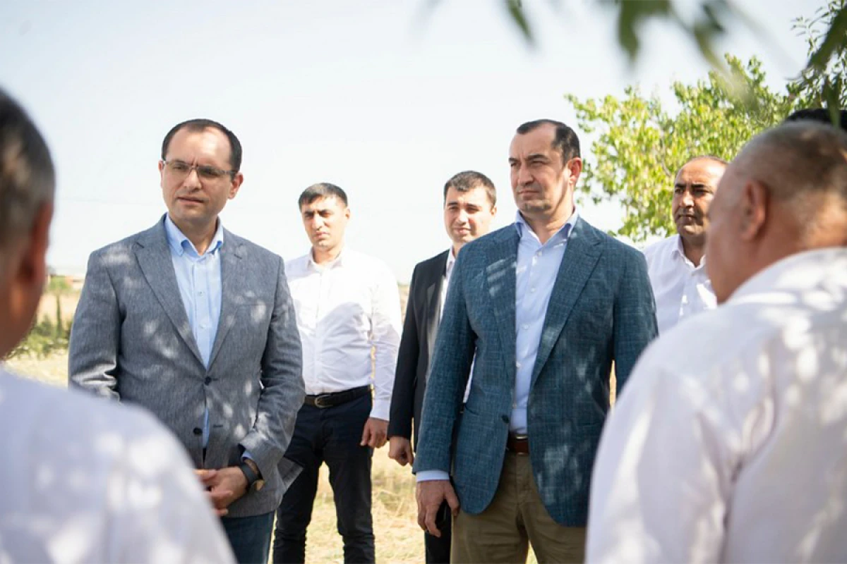 Məcnun Məmmədov Şamaxıdakı müəssisələrin fəaliyyəti ilə tanış oldu