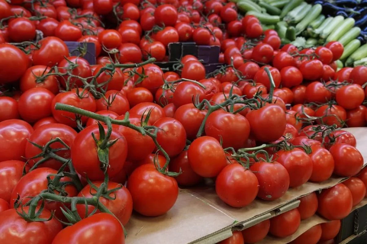 ABŞ Meksika pomidorlarına yeni tarif tətbiq edəcək
