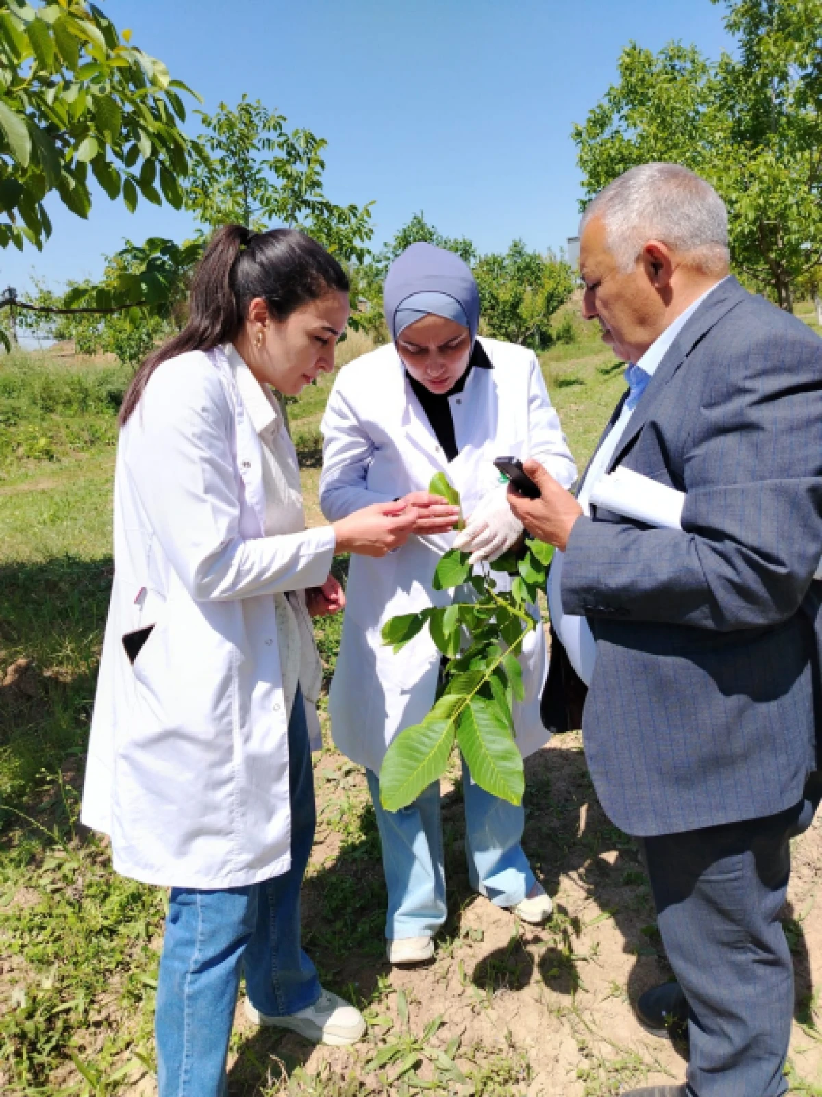 AQTA azad olunan ərazilərdə fitosanitar monitorinqlər keçirdi — 2