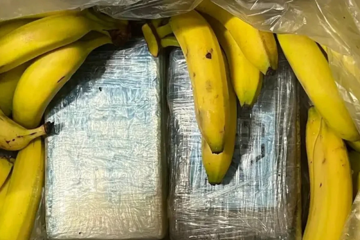 Danimarkada kokainli banan ticarəti genişləndi